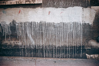 1.000 palabras sobre el muro