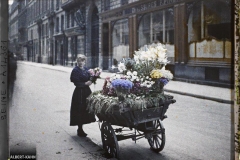 France, Paris, Marchande de fleurs Boulevard de la Madeleine