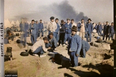 Egypte, Port-Saïd, Au camp des chinois : cuisines dans le sable