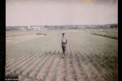 Ile de France, Poissy, Champ de poireaux