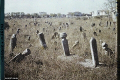 Thrace, Andrinople, Vieux Cimetière Turc