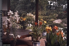 Jardin Japonais