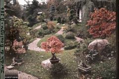 Jardin Japonais