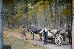 Trois hommes posent avec un cheval et une charrette dans une forêt, Pontresina, Suisse, 8 juillet 1912, (Autochrome, 9 x 12 cm), 
Auguste Léon, Département des Hauts-de-Seine, musée Albert-Kahn, Archives de la Planète, A 71 168