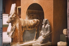 Egypte, Musée du Caire, La Vache Hator et son sanctuaire