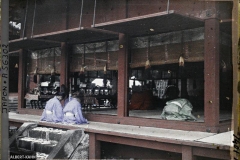 Japon, Nikko, prêtres shintoïstes en prière (cérémonie du 17 août)