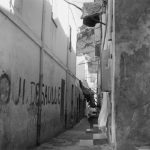 Pierre Bourdieu. Imágenes de Argelia