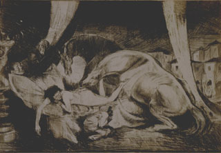 Bruno Schulz. El país tenebroso |