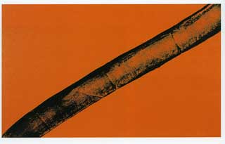 Hans Hartung | Esencial