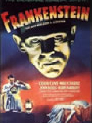 EL DOCTOR FRANKENSTEIN (Frankenstein)