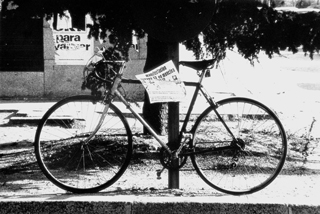 Tiempo de transición. 1975-1982 |