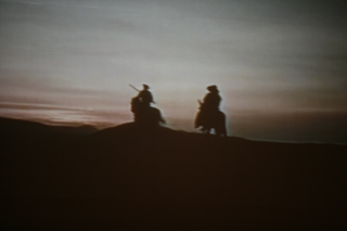 XV Lectura continuada del Quijote