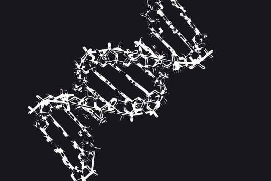 V Jornadas Con Ciencia en la Escuela