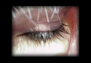 Taller de arte actual | Netart