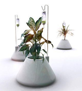 Diseñando nuevas ideas de negocio | Curso de diseño