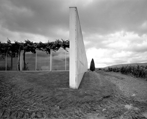 Alessandra Chemollo Alessandra Chemollo