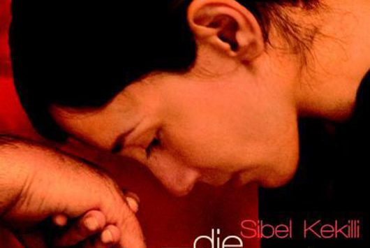 Cartel de la película Die fremde