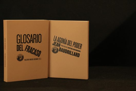 Libros del "Glosario del Fracaso" y "La agonía del poder" de Baudrillard del sorteo del Congreso Identidades.