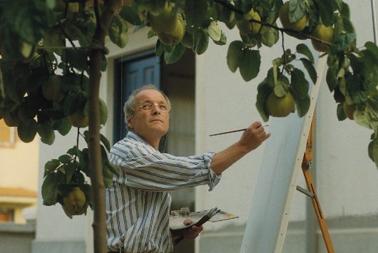 El-sol-del-membrillo