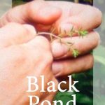Black Pond + Ý Bera – Aguas de luz + Adelina for leaves + presentación de Pablo Marín