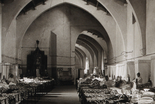 Diseno-sin-titulo-530x355 (4)