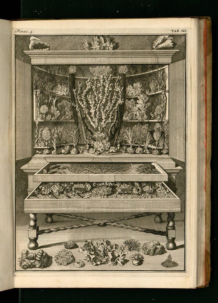 Vincent, Levinus_(1715) Wondertooneel der natuur –Tome 2, Dominio público